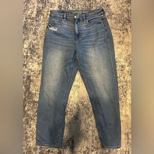 American Eagle Outfitters Classic Denim Mom Jeans size 10, short